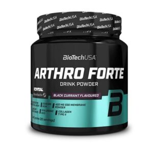 BioTech Arthro Forte 340g
