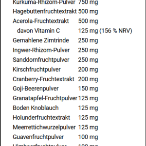 FA Nutrition – Wellnes Line Super Immunity Booster – 270g